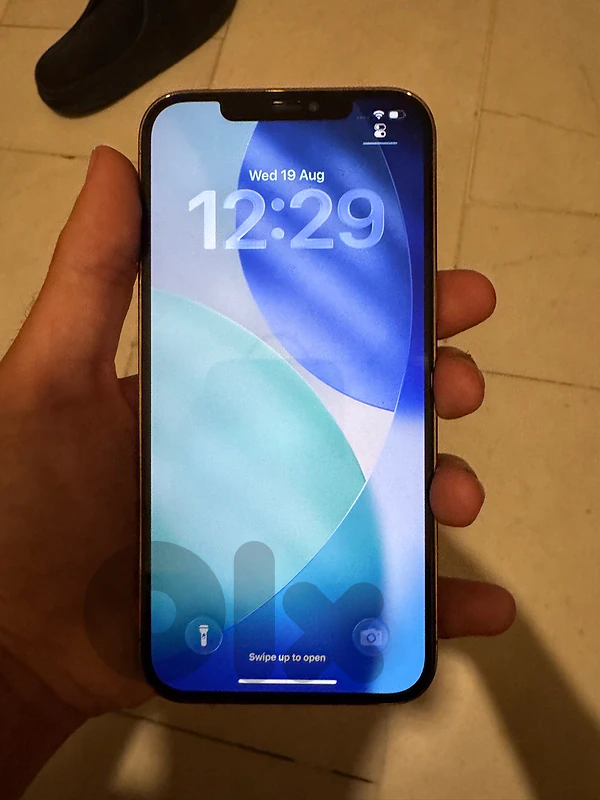 iphone 12 pro max 256 gb