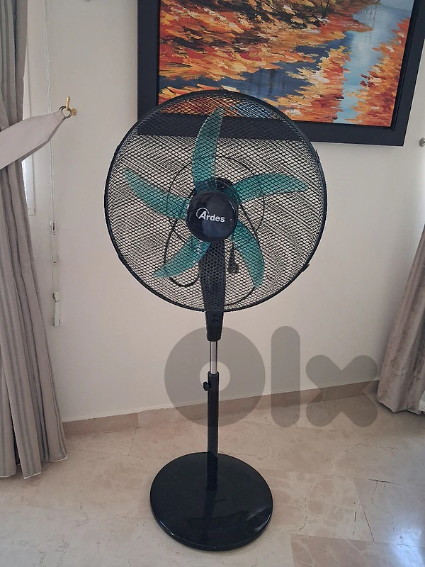 fan ( top quality)