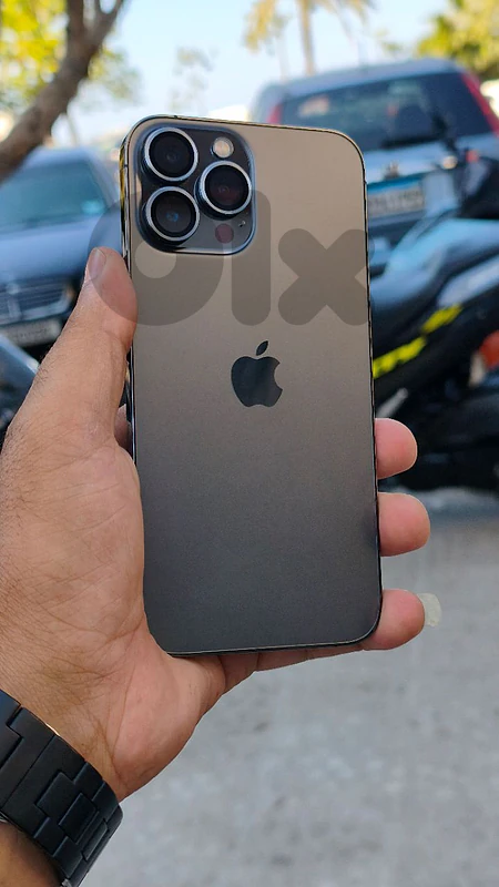 iPhone 13 Pro Max.256.