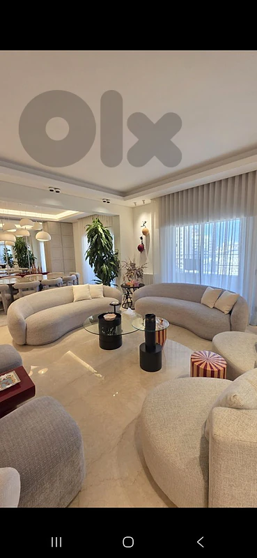 two sofas couches