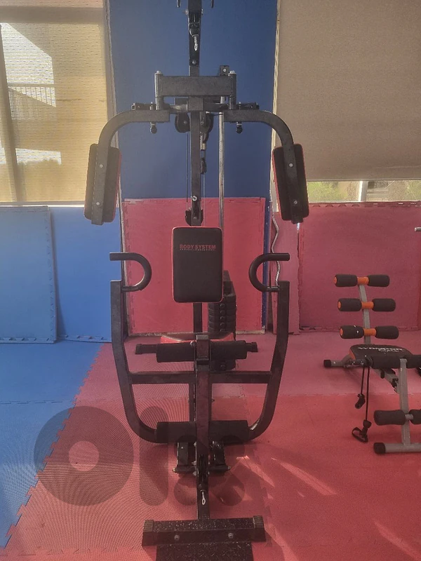 Total body workout machine