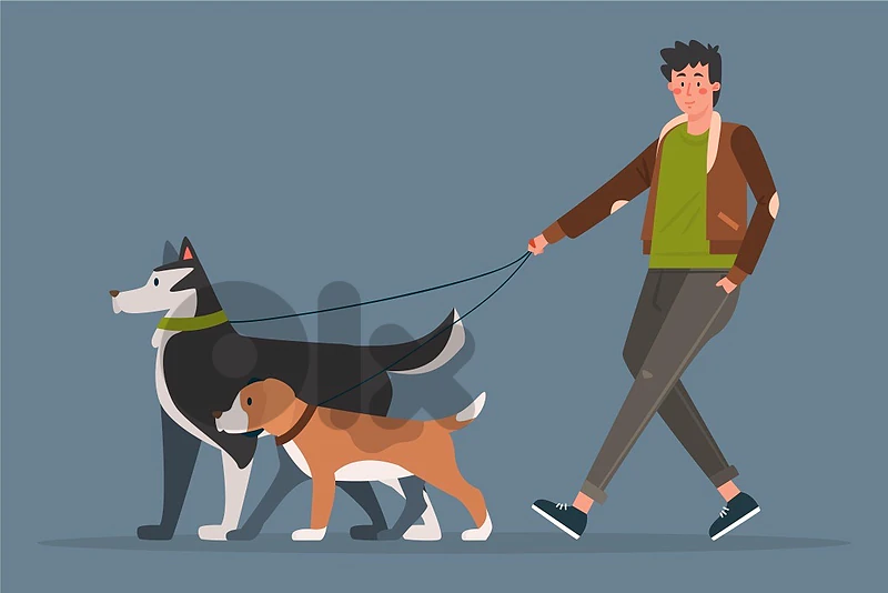 Dog walker Dog walker