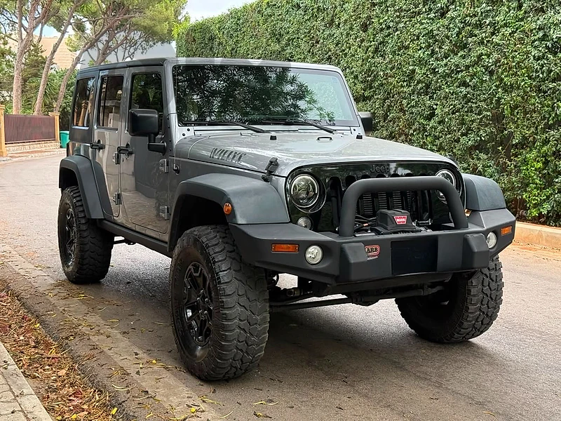 Jeep Wrangler willys 2018