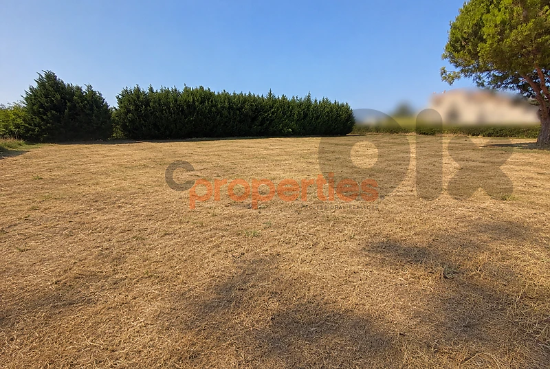 Land For Sale In Chekka-CPJMS08