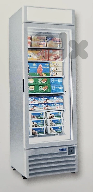 Standing Freezer/Fridge