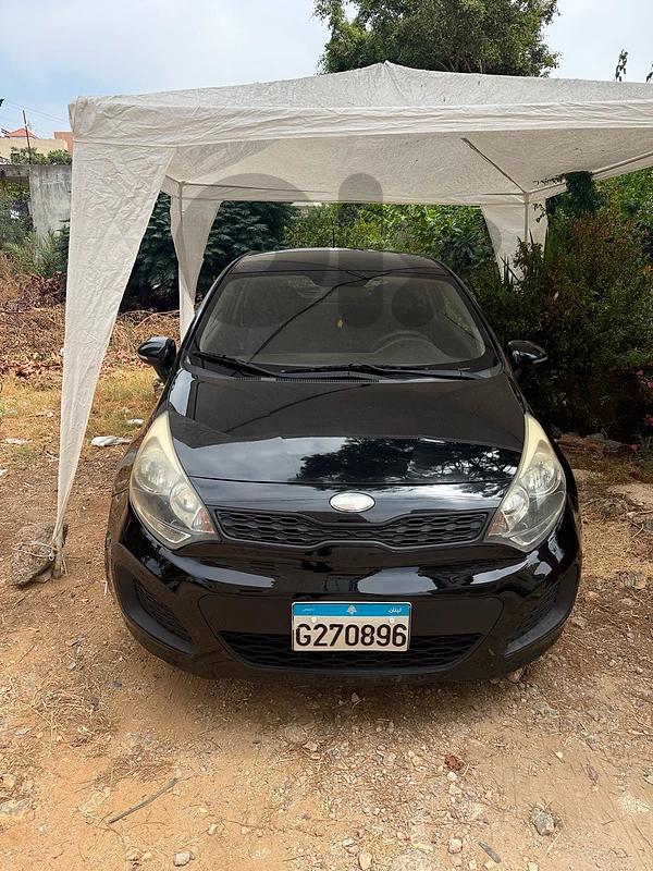 Kia Rio 2014 coupe 2 doors