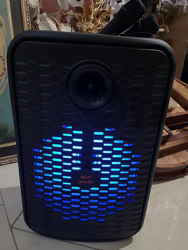 Hi Fi Speaker