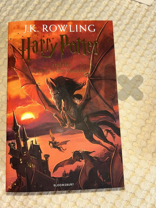 harry Potter and the order of the Phoenix