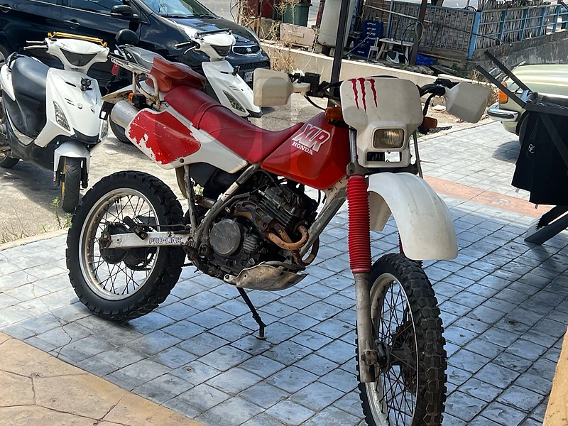 معروب قضاء صور