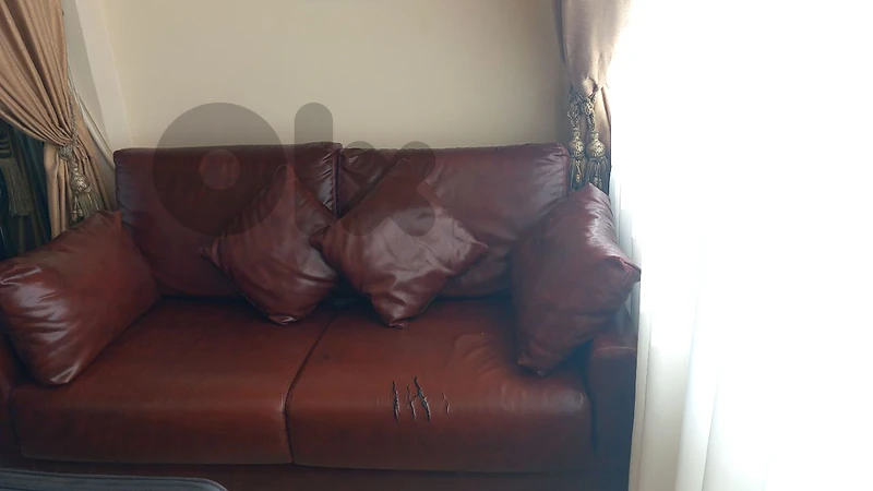 sofa bed with mechanism FAP