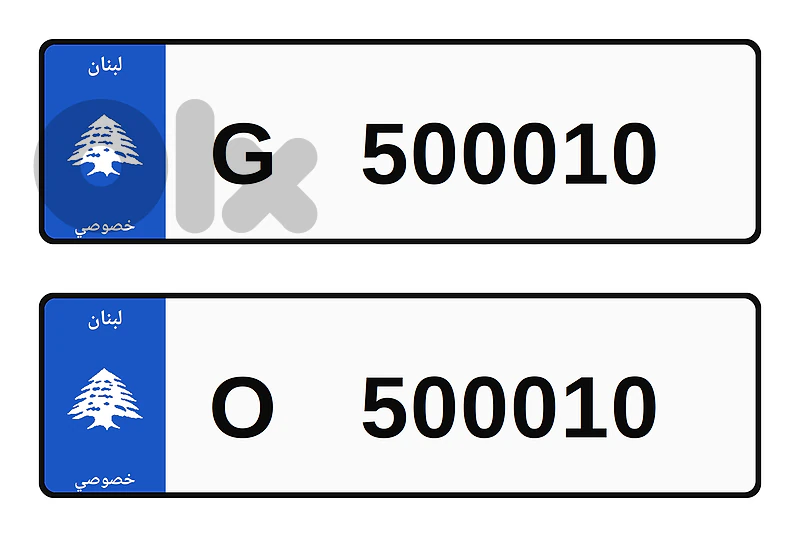 2 Special Car Plates for Sale — 6 Digits Each — 500010 (Letters G & O)