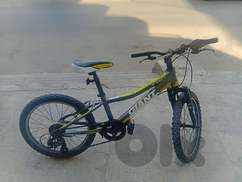 gaint xtc mountain bike for kids (garmin bike)
