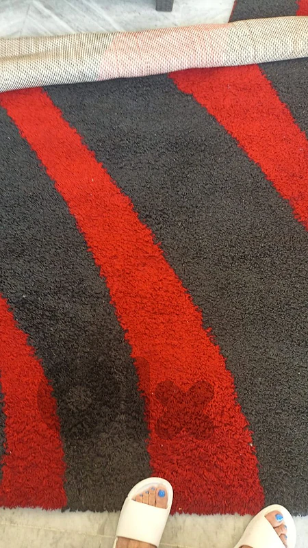 carpet