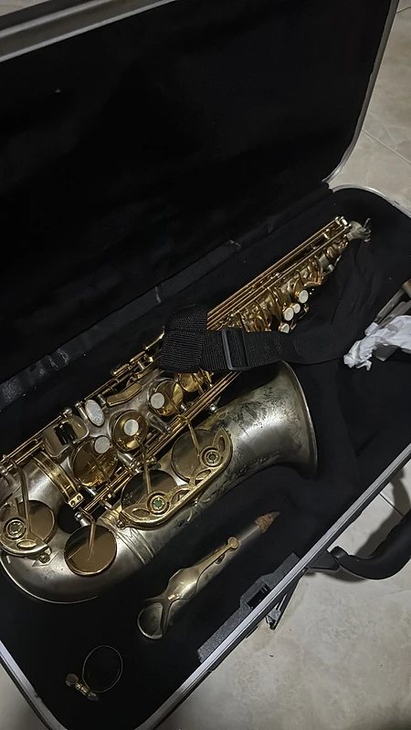 Vintage Maxtone Alto Saxophone with Hard Case