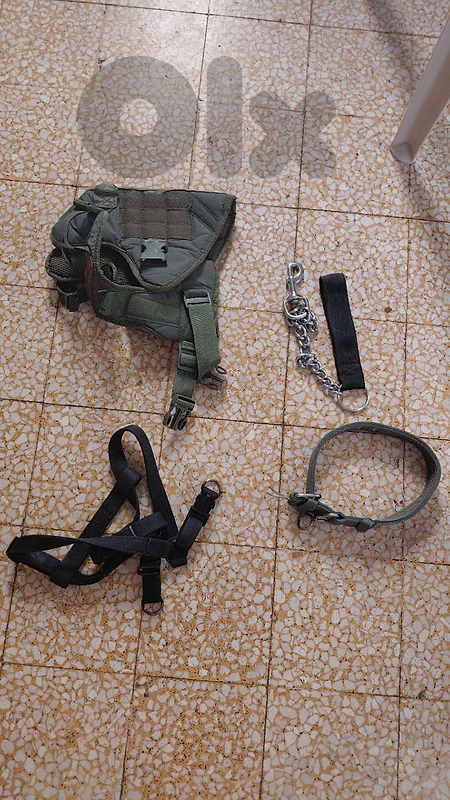 dog collar leash and harness dog collar leash and harness