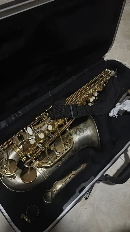 Vintage Maxtone Alto Saxophone with Hard Case