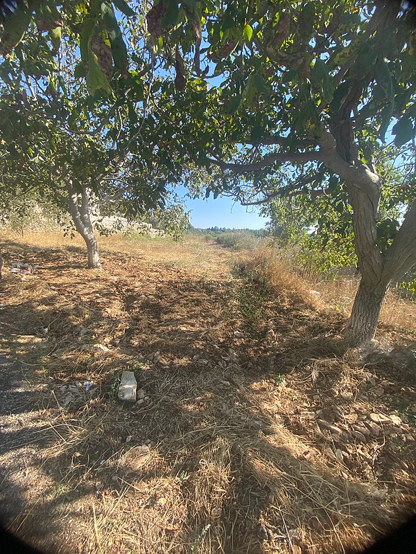 land in hjoula jbeil for sale