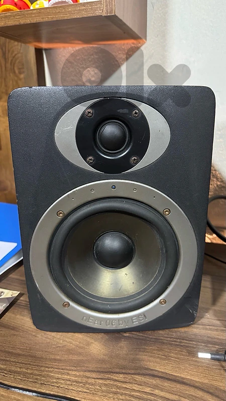 Studio Monitor Pair ESI nEar 06