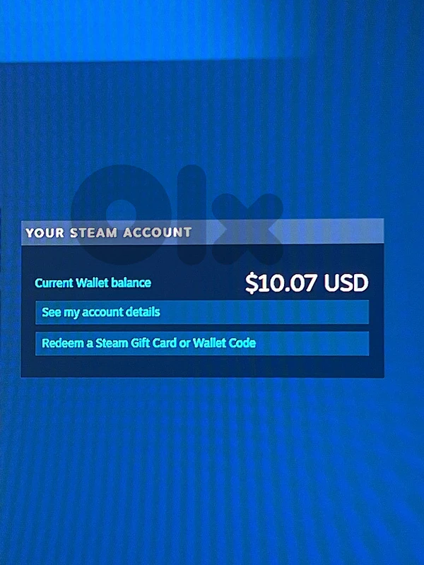 steam 10$