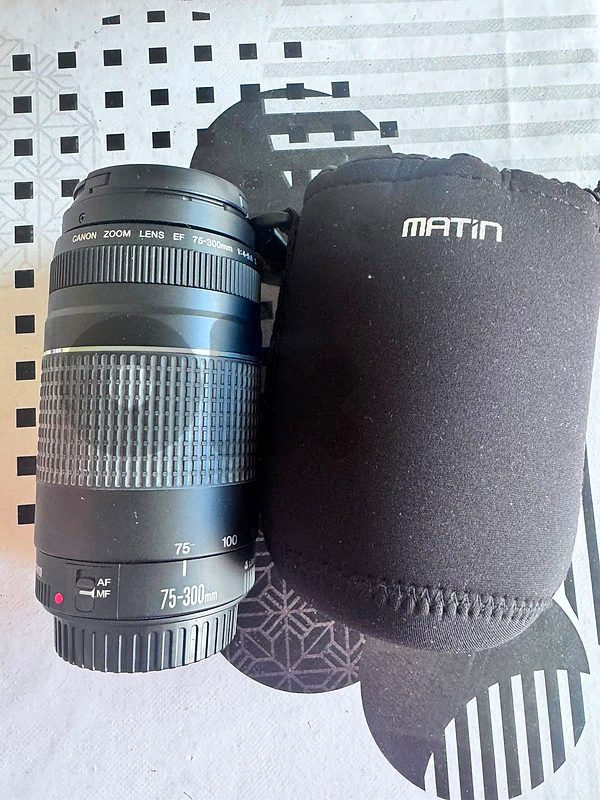 75-300 mm Canon lens