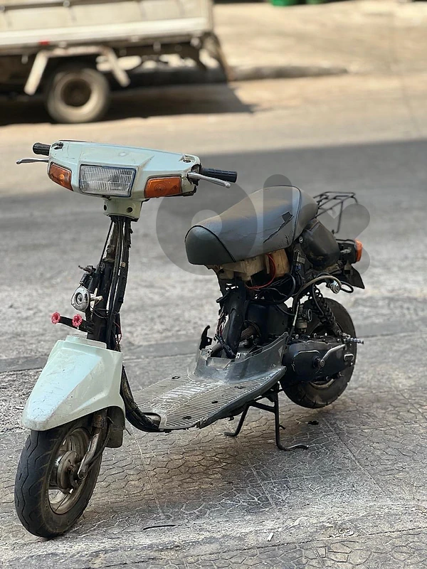 Mint 50 cc yabaniyeh
