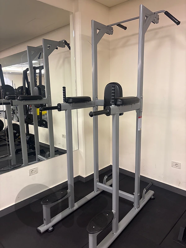 vertical knee raise machine