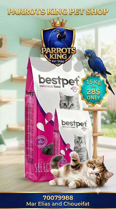 bestpet Cat dry food