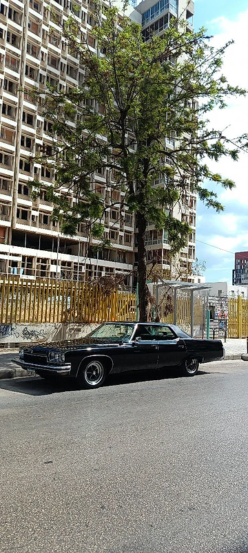 Buick Other 1973 electra 225