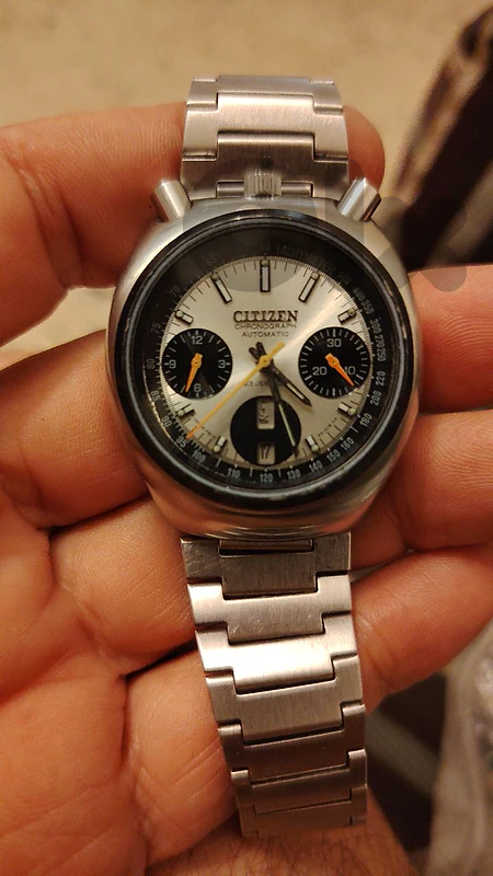 citizen bullhead