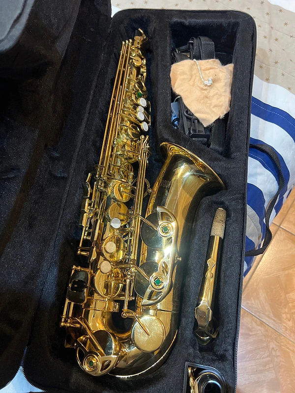 alto saxophone