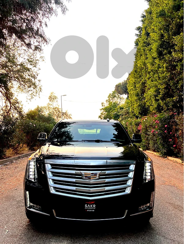 Cadillac Escalade 2017 Platinum 1 Owner only Company source