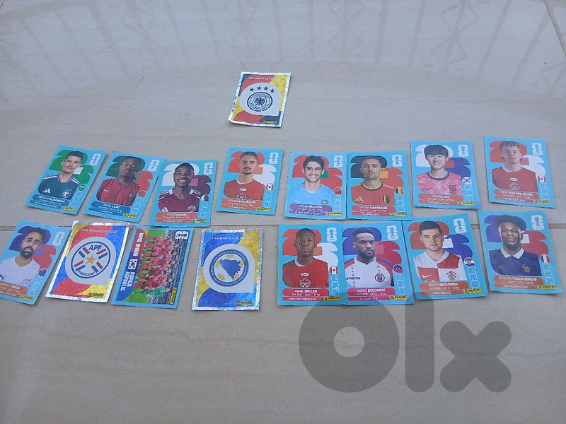 panini stickers