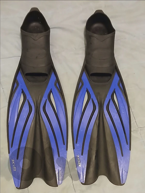 Flippers