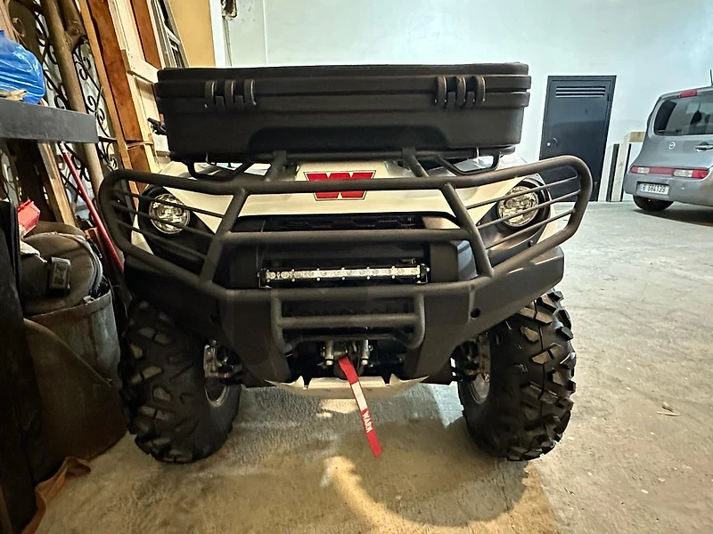 kawasaki bruite force