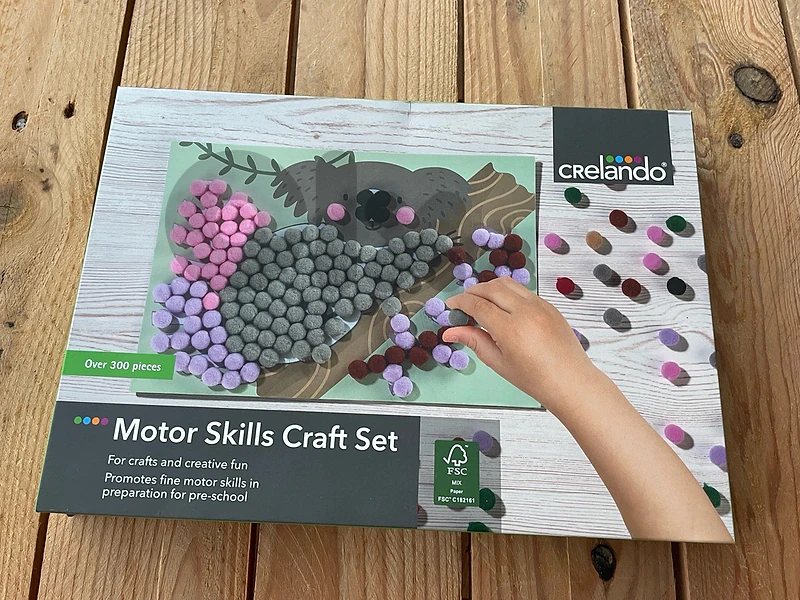 Motor Skills Craft Set