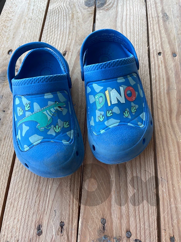 Dino Clogs