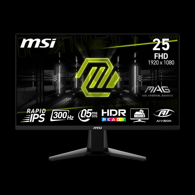 MSI 300Hz FHD 25" monitor