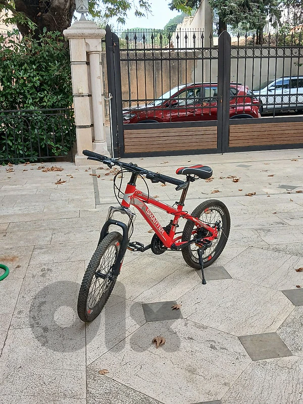 Bike for 150$ used some damages
