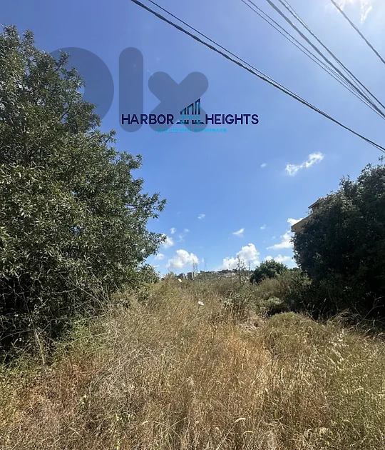 Land for Sale in Barja - أرض للبيع في برجا