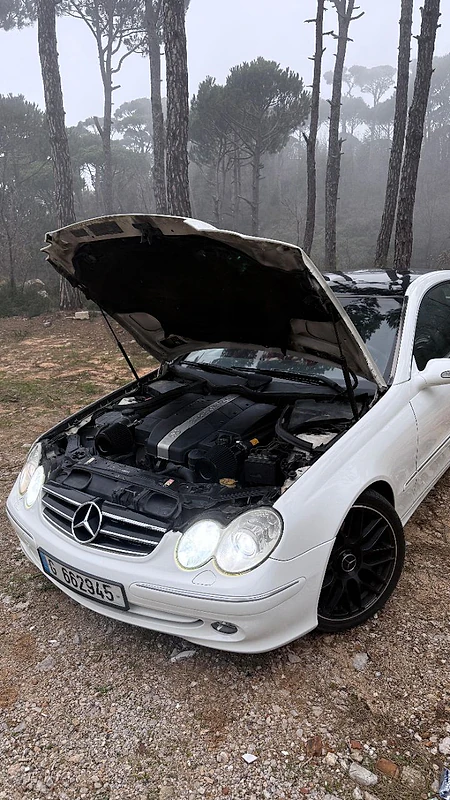 Mercedes-Benz CLK-Class 2004 clk 320 w209 2004