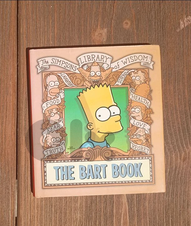Simpsons the bart book