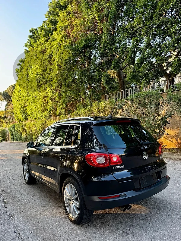 Volkswagen Tiguan Limited 2010 4-Motion