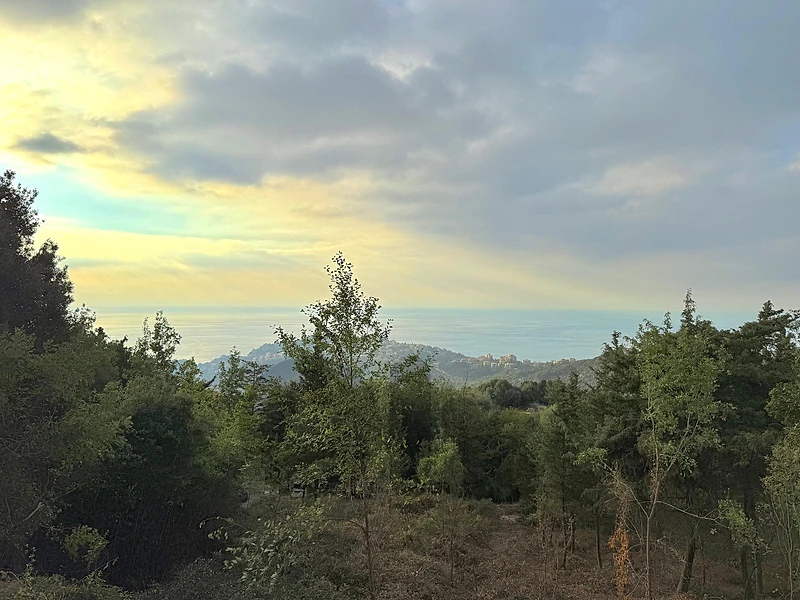 625 SQM Land For Sale in Kfour with An Amazing View