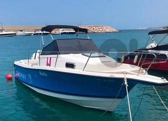 Bayliner Trophy Boat