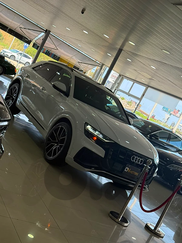Audi Q8 2020