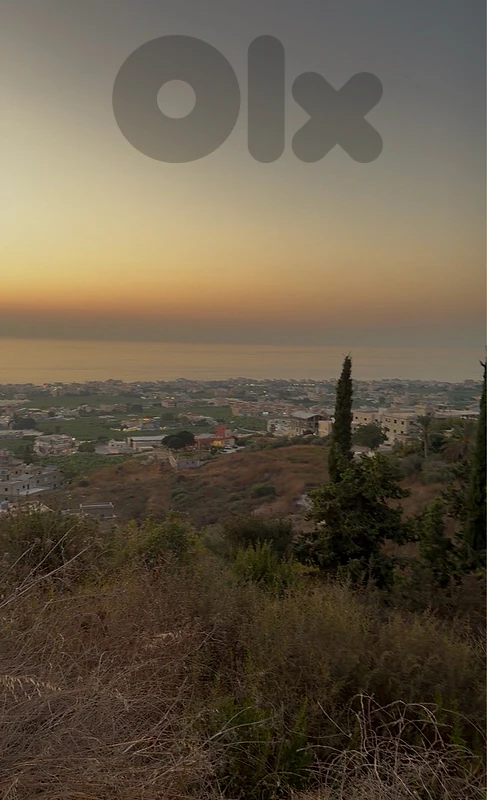 land for sale in sarafand