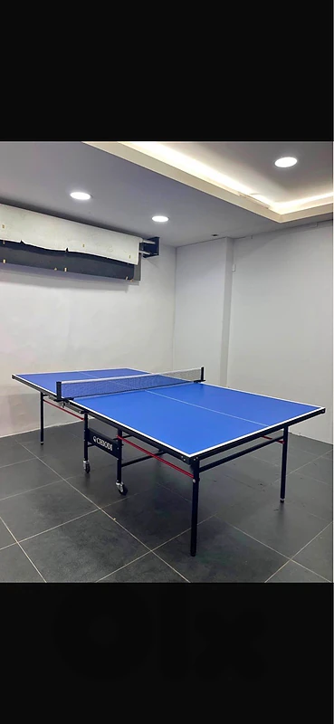 ping pong