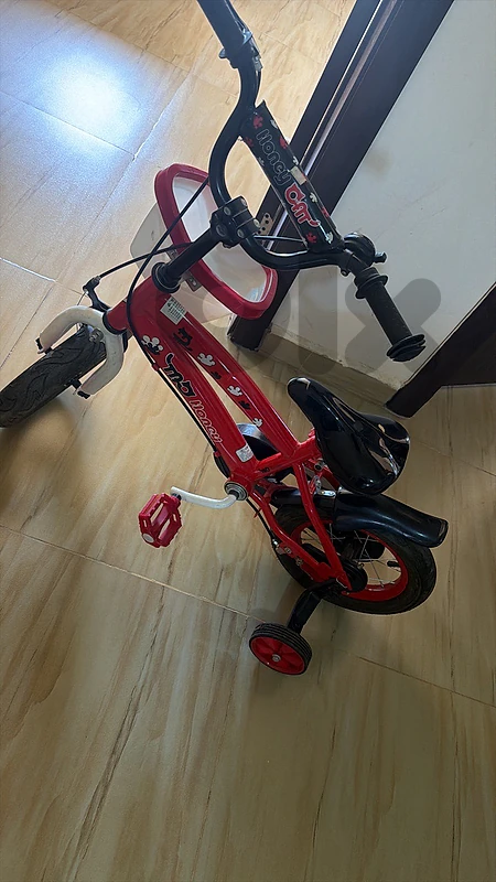 bicycle and electric moto