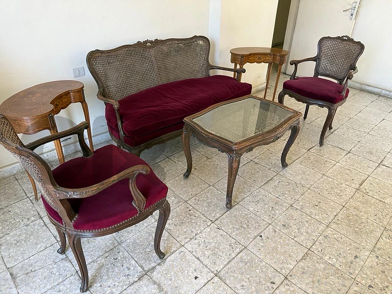 vintage french salon louis 15
