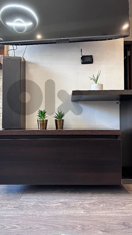 Tv unit